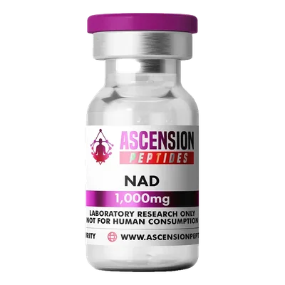 NAD+ 1 1000mg product photo